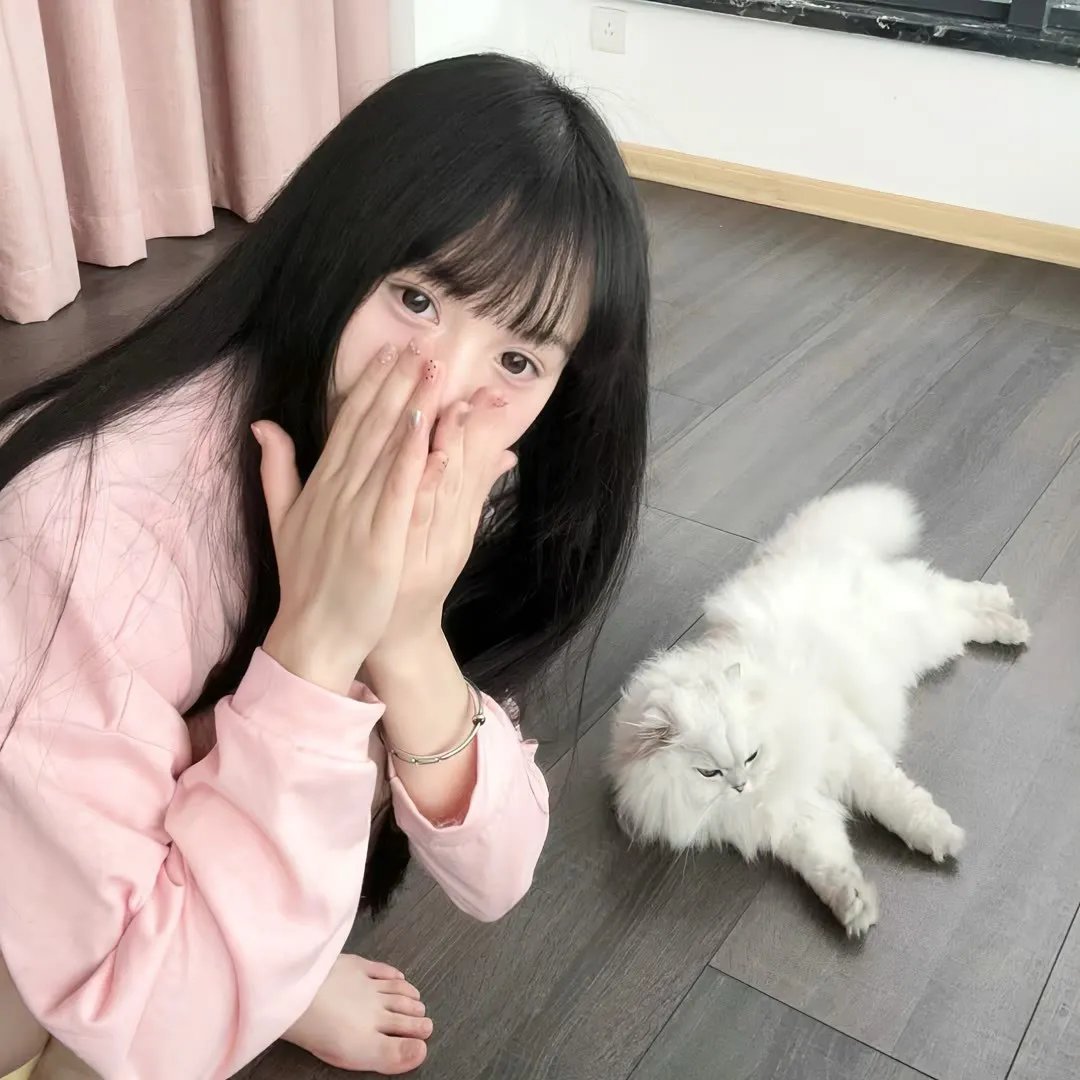 狐狸女士第二季